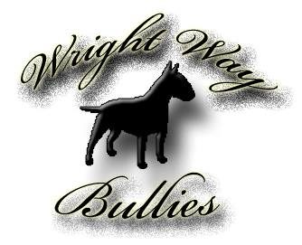 Wright Way Bullies